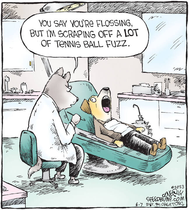 Speed Bump for Jun 07, 2023