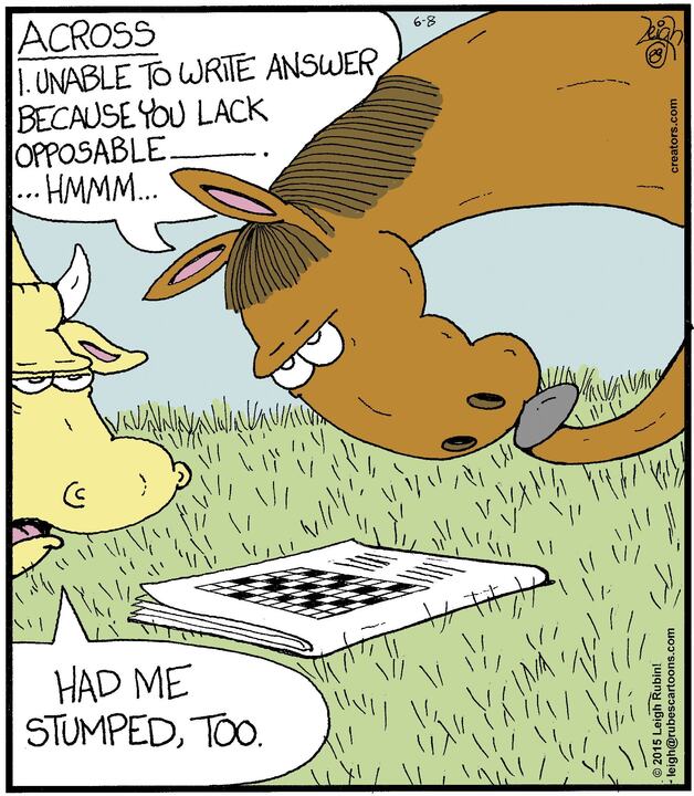 Rubes® for Jun 08, 2024