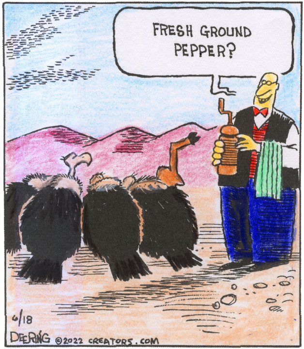 Strange Brew for Jun 18, 2022