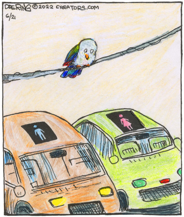 Strange Brew for Jun 21, 2022