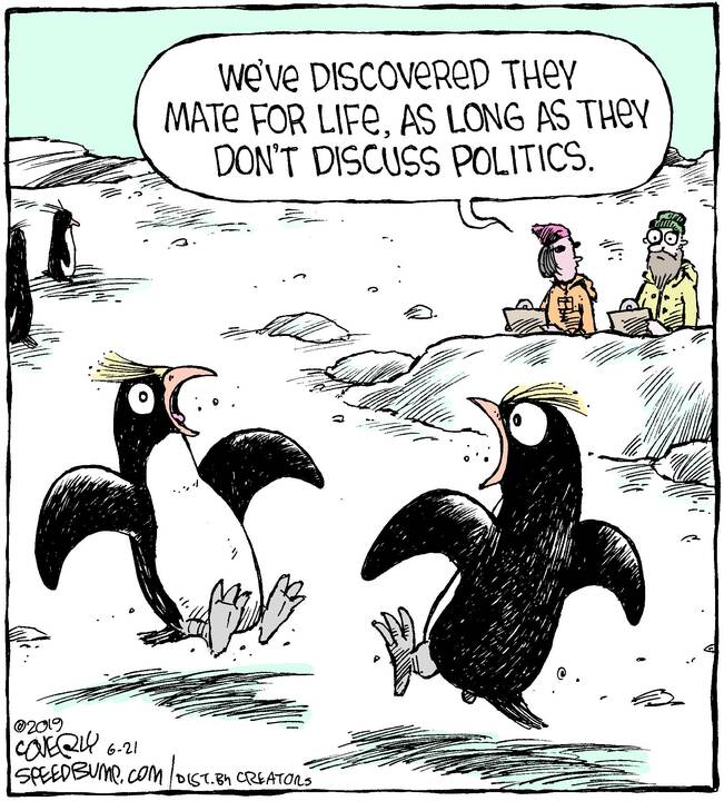 Speed Bump for Jun 21, 2023