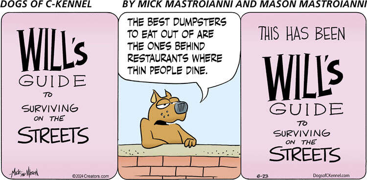 Dogs of C-Kennel for Jun 23, 2024