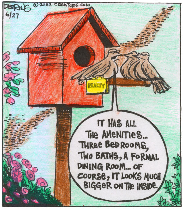 Strange Brew for Jun 27, 2022