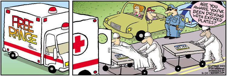 Free Range for Jun 30, 2024