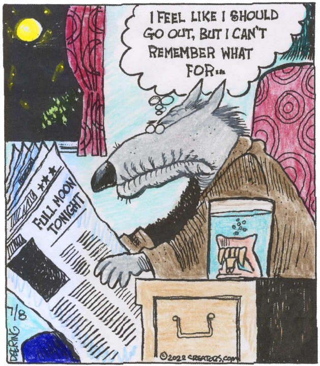 Strange Brew for Jul 08, 2022