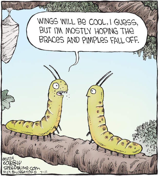 Speed Bump for Jul 11, 2024