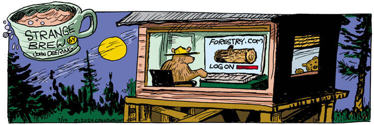 Strange Brew for Jul 14, 2024