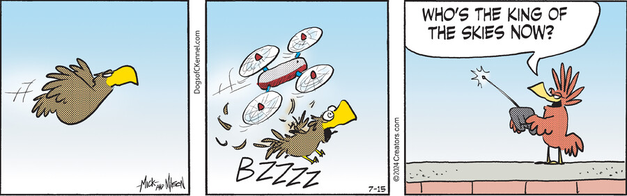 Dogs of C-Kennel for Jul 15, 2024