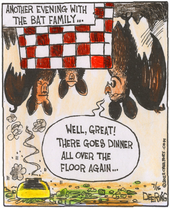 Strange Brew for Jul 16, 2022