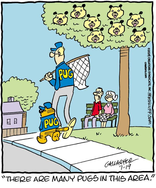 Heathcliff for Jul 19, 2024