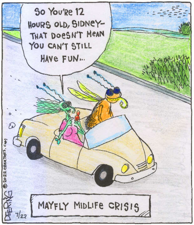 Strange Brew for Jul 22, 2022