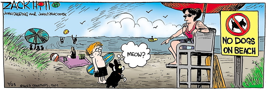 Zack Hill for Jul 23, 2023