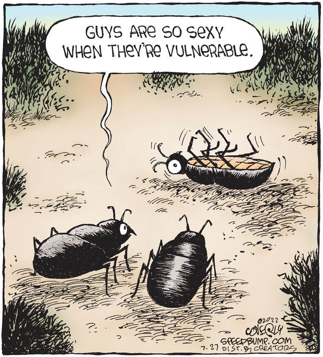 Speed Bump for Jul 27, 2022