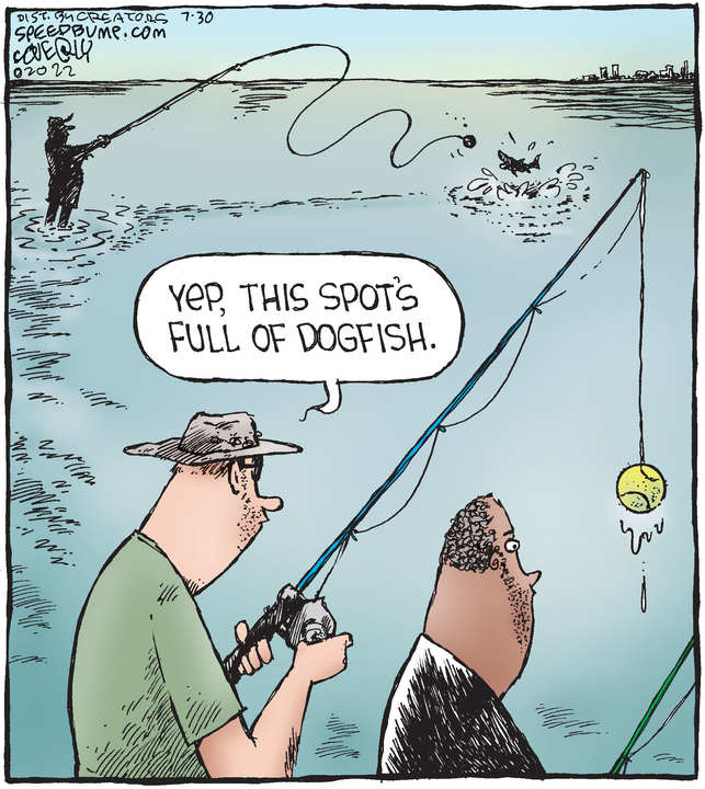 Speed Bump for Jul 30, 2022