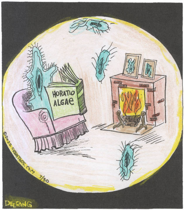 Strange Brew for Jul 30, 2022