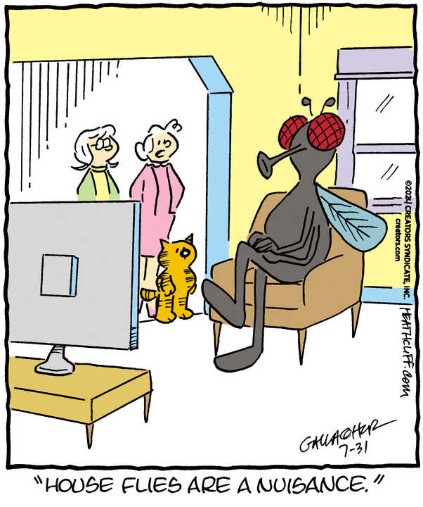 Heathcliff for Jul 31, 2024
