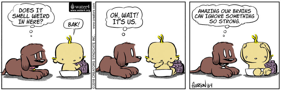 Dog Eat Doug for Aug 04, 2023