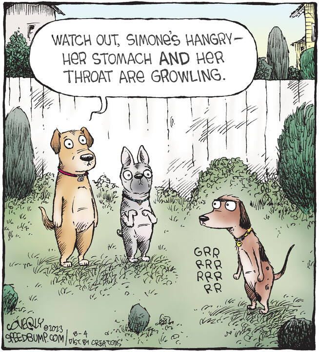 Speed Bump for Aug 04, 2023