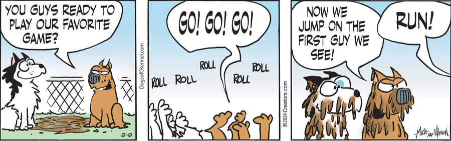 Dogs of C-Kennel for Aug 09, 2024