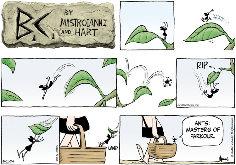 B.C. for Aug 11, 2024