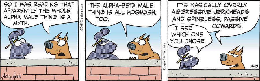 Dogs of C-Kennel for Aug 13, 2024
