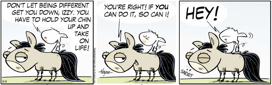 The Barn for Aug 15, 2024