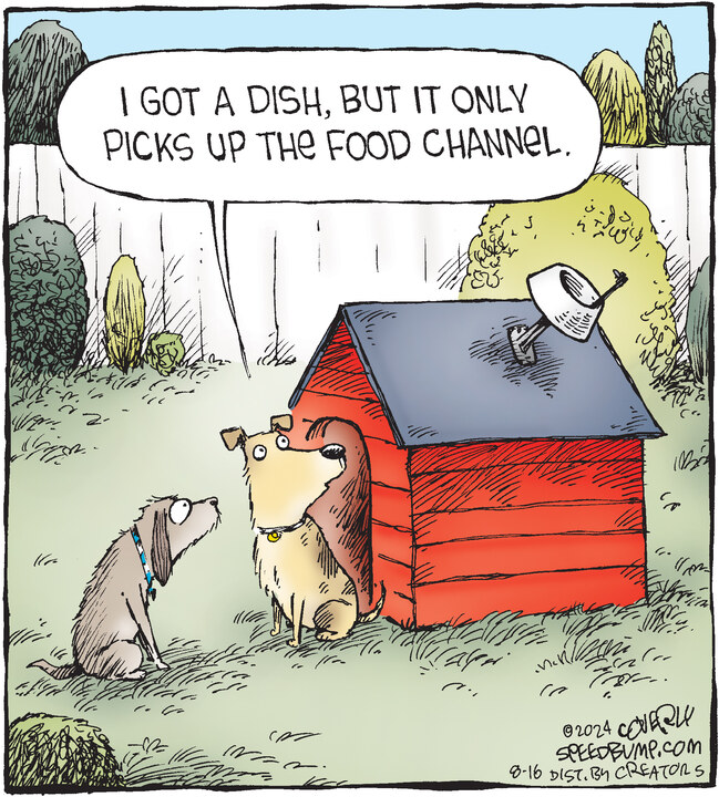 Speed Bump for Aug 16, 2024