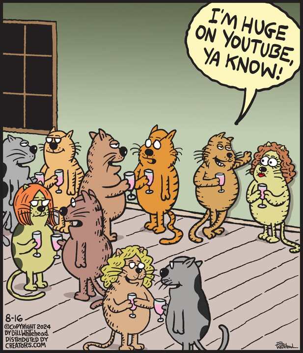 Free Range for Aug 16, 2024