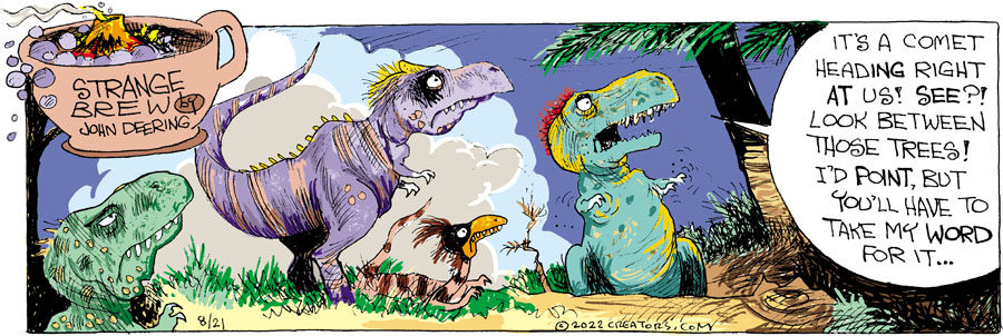 Strange Brew for Aug 21, 2022