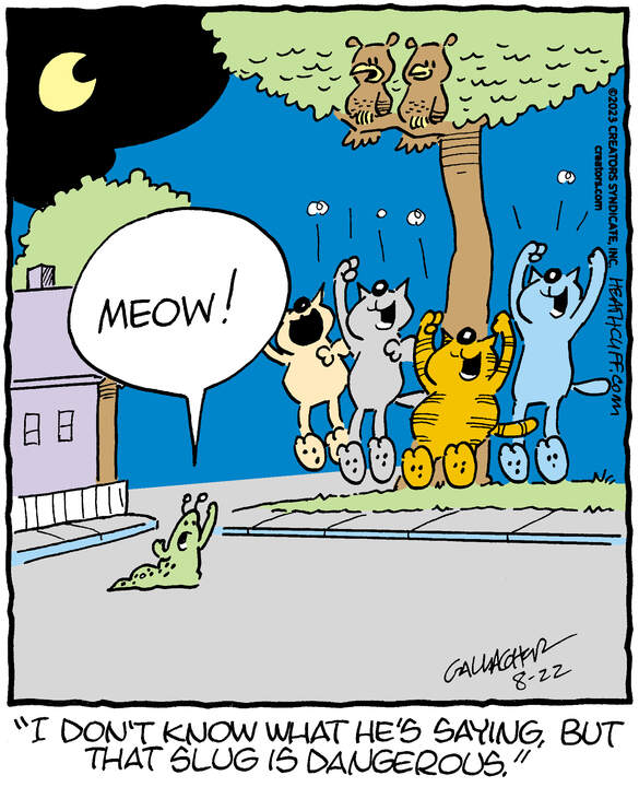Heathcliff for Aug 22, 2023
