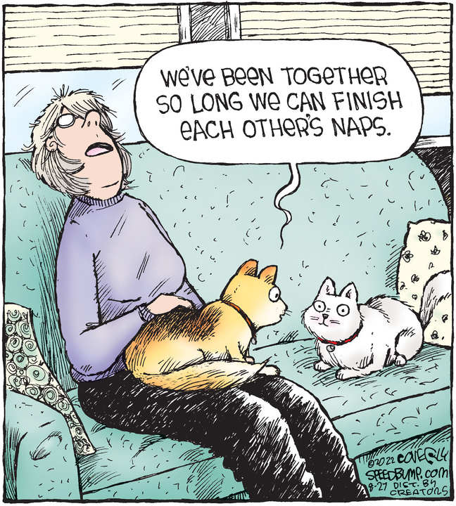 Speed Bump for Aug 27, 2022