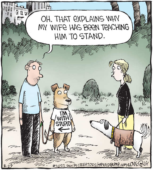 Speed Bump for Aug 29, 2022