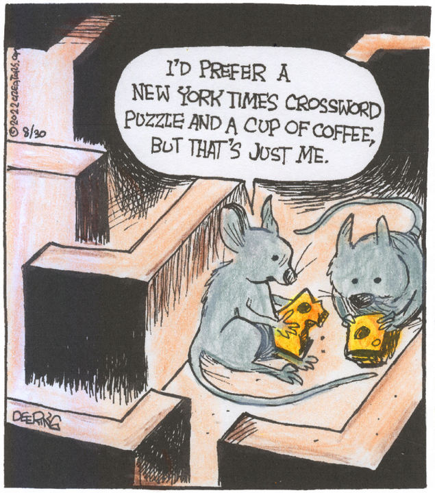 Strange Brew for Aug 30, 2022