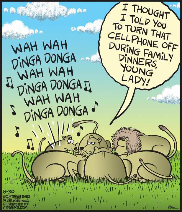 Free Range for Aug 30, 2023