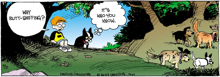 Zack Hill for Sep 02, 2023