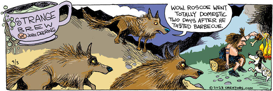 Strange Brew for Sep 03, 2023