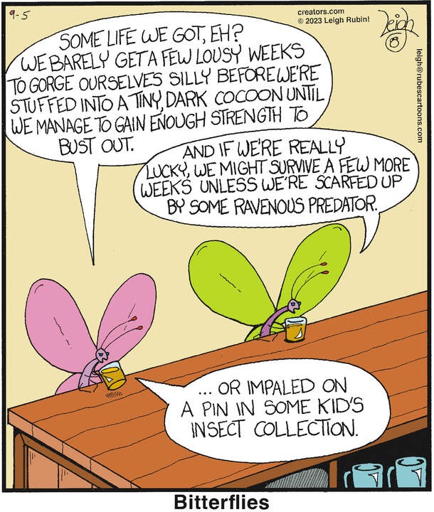 Rubes® for Sep 05, 2023