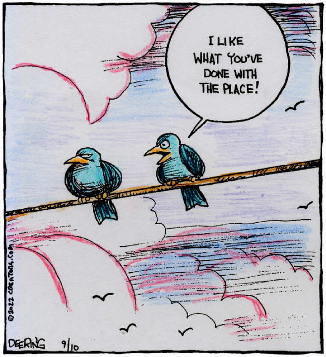 Strange Brew for Sep 10, 2022