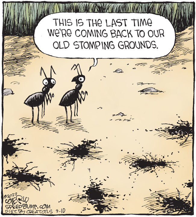 Speed Bump for Sep 10, 2022