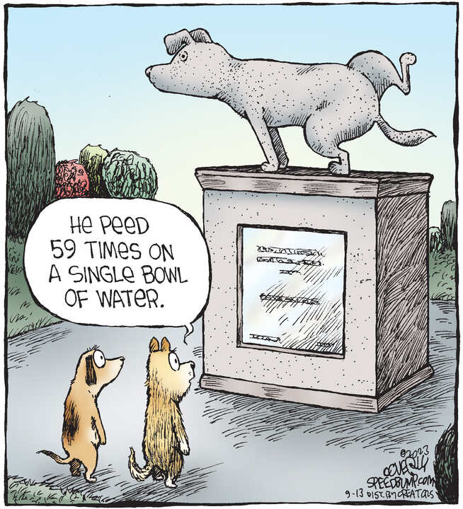 Speed Bump for Sep 13, 2023