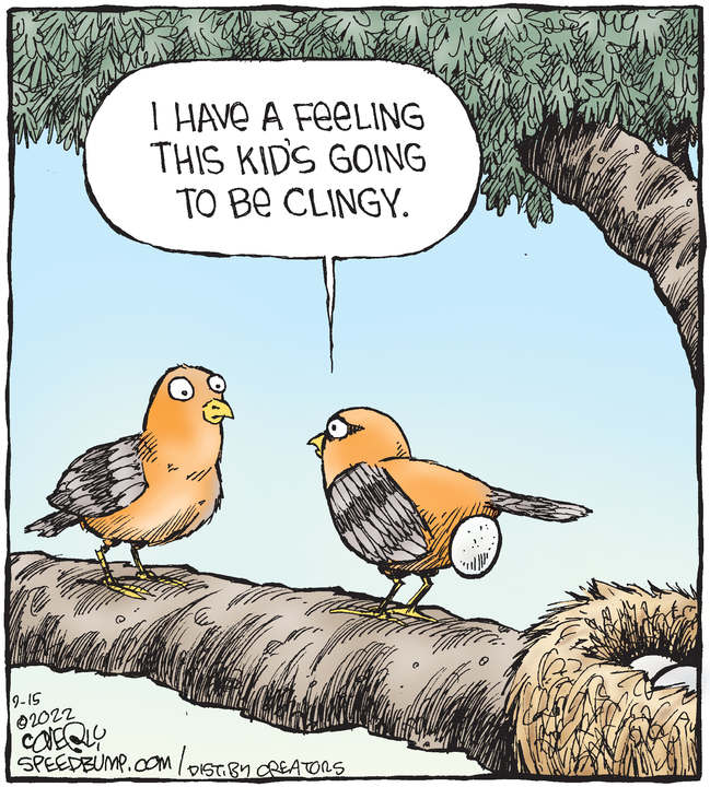 Speed Bump for Sep 15, 2022