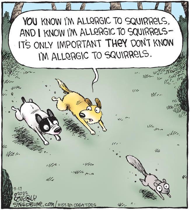 Speed Bump for Sep 17, 2022