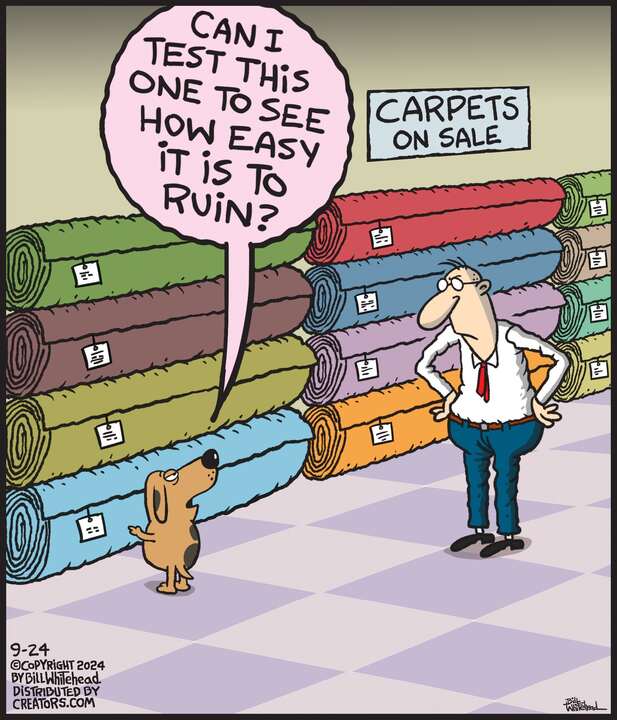 Free Range for Sep 24, 2024