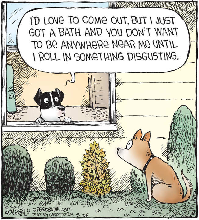 Speed Bump for Sep 26, 2022