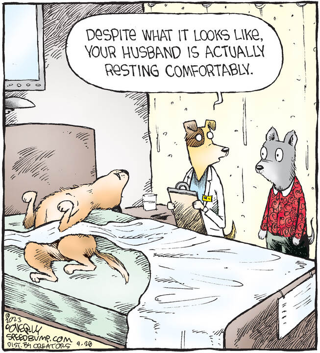 Speed Bump for Sep 28, 2023