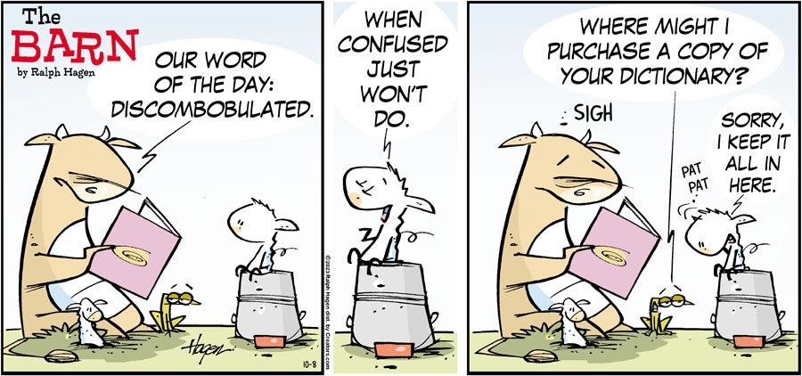 The Barn for Oct 08, 2023