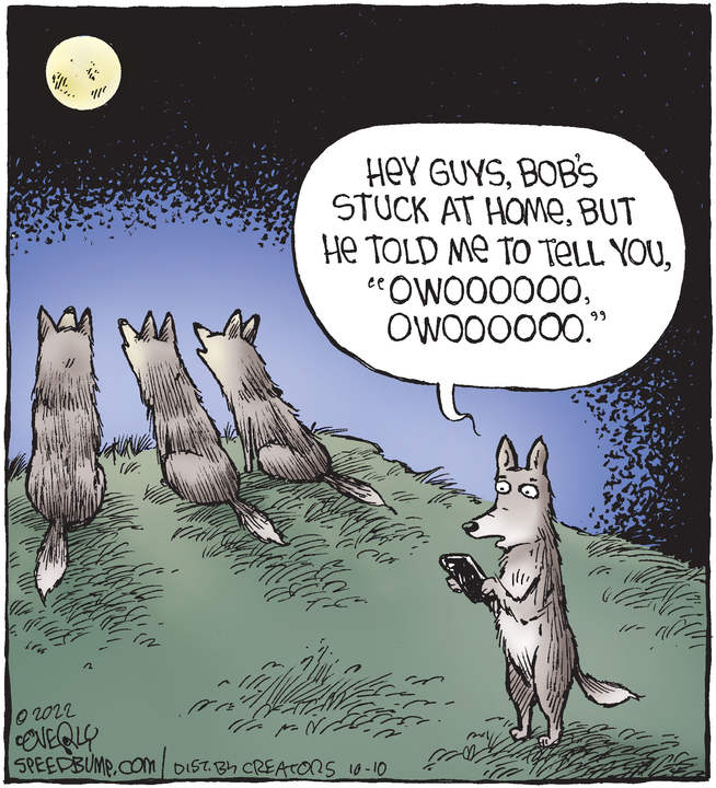 Speed Bump for Oct 10, 2022