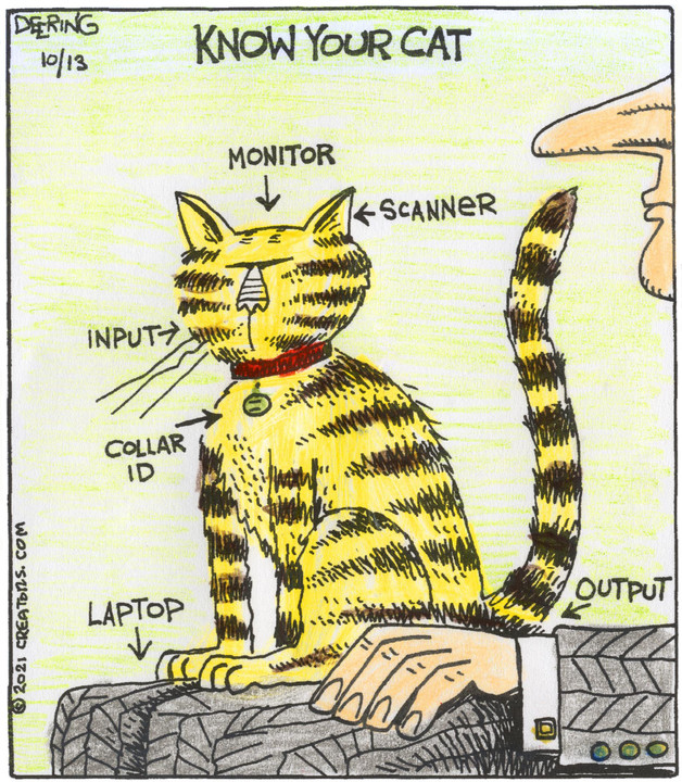 Strange Brew for Oct 13, 2021