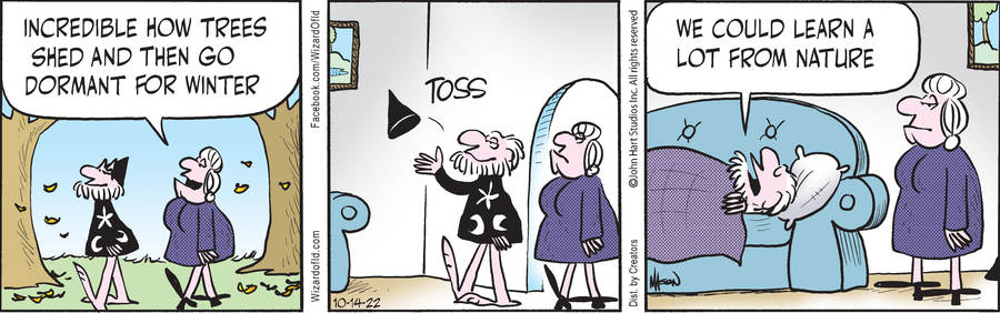 Wizard of Id for Oct 14, 2022