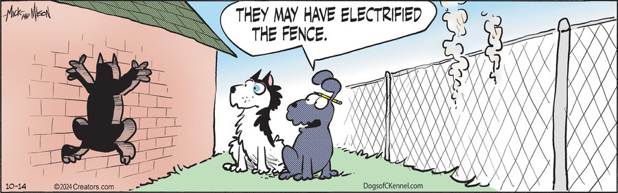 Dogs of C-Kennel for Oct 14, 2024